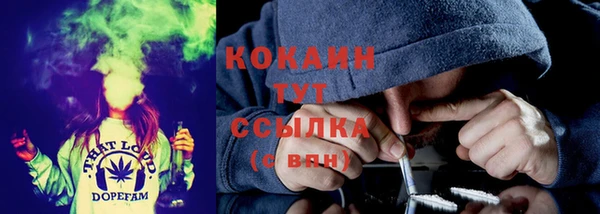 эйфоретик Осинники